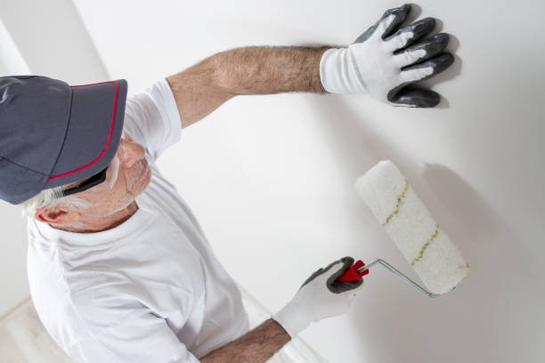 Best Mold-Related Health Consultation  in Northford, CT