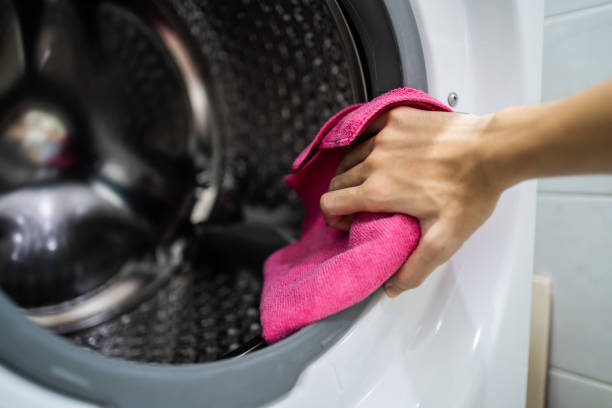 Best Mold Damage Restoration  in Northford, CT