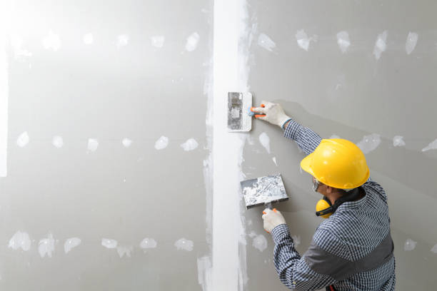 Biohazard Mold Removal in Northford, CT