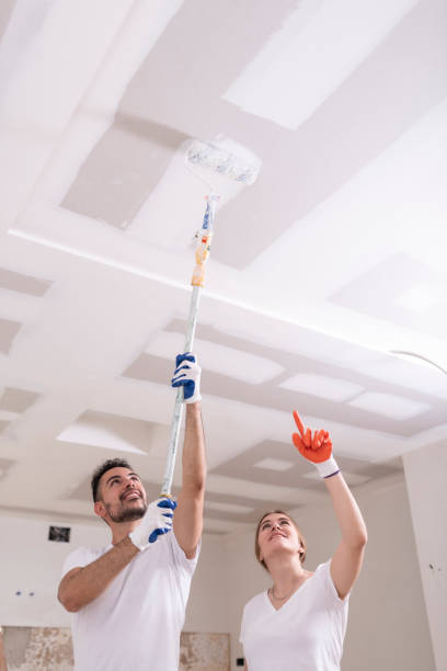 Best Airborne Mold Testing  in Northford, CT