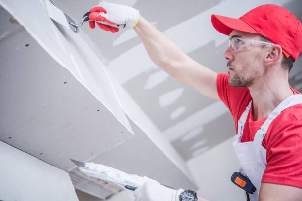Best Mold Documentation for Insurance Claims  in Northford, CT